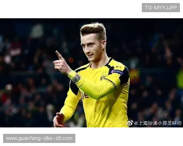 Z6尊龙现金开户操作指南，详细步骤帮助新手快速上手畅玩尊龙系列热门游戏